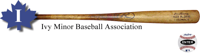 Bat and Ball